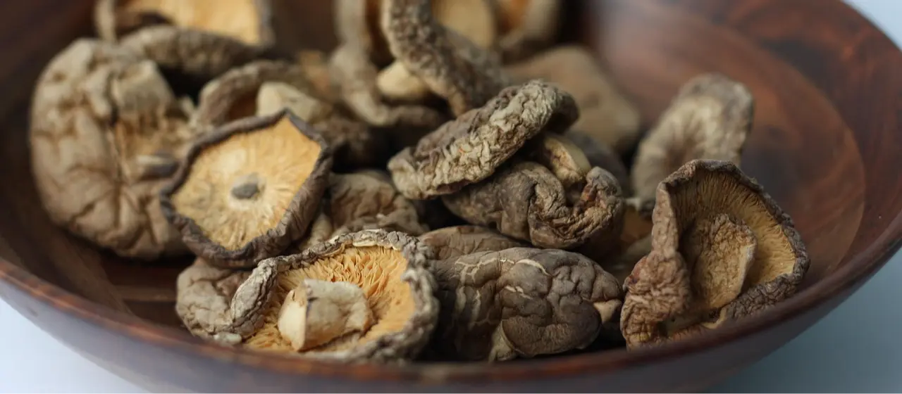 AHCC: Unlocking Immune Support with Shiitake Mushrooms