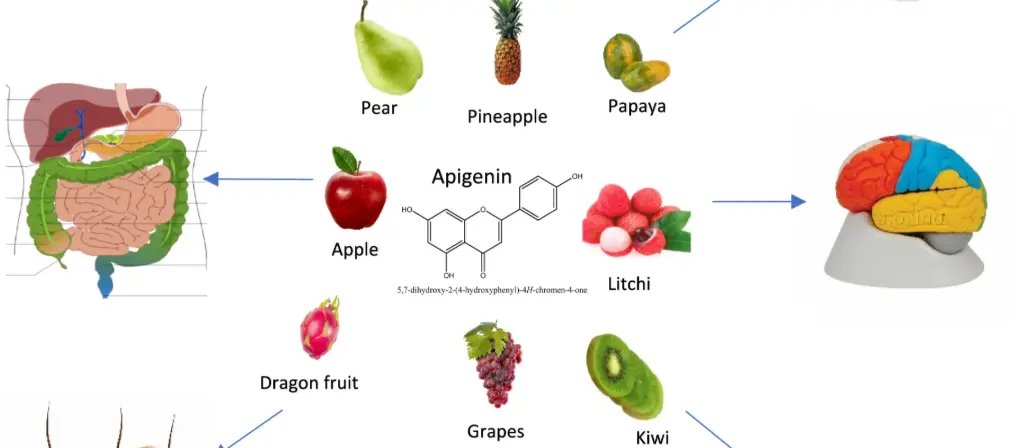 Apigenin: Your Solution for Sleep and Stress