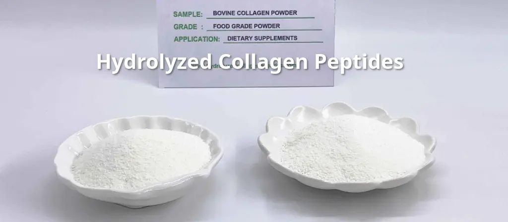 Can Hydrolyzed Bovine Collagen Peptides Slow Aging?