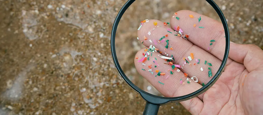 Microplastics Detox Strategies