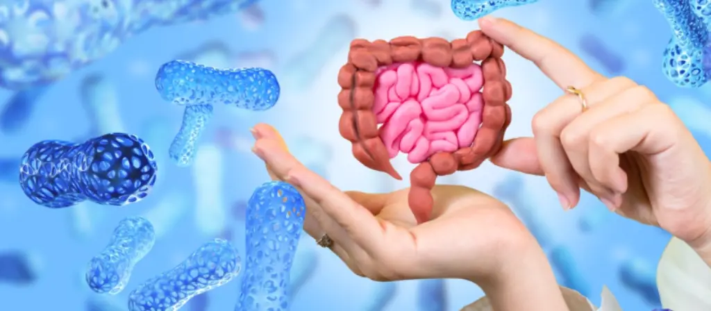 Peptides for Gut Regeneration