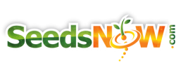 Seeds Now